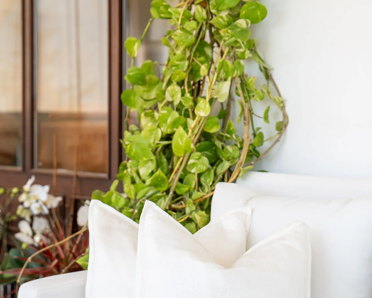 dcf299a8-fc29-4c19-b5da-988ae0c77759