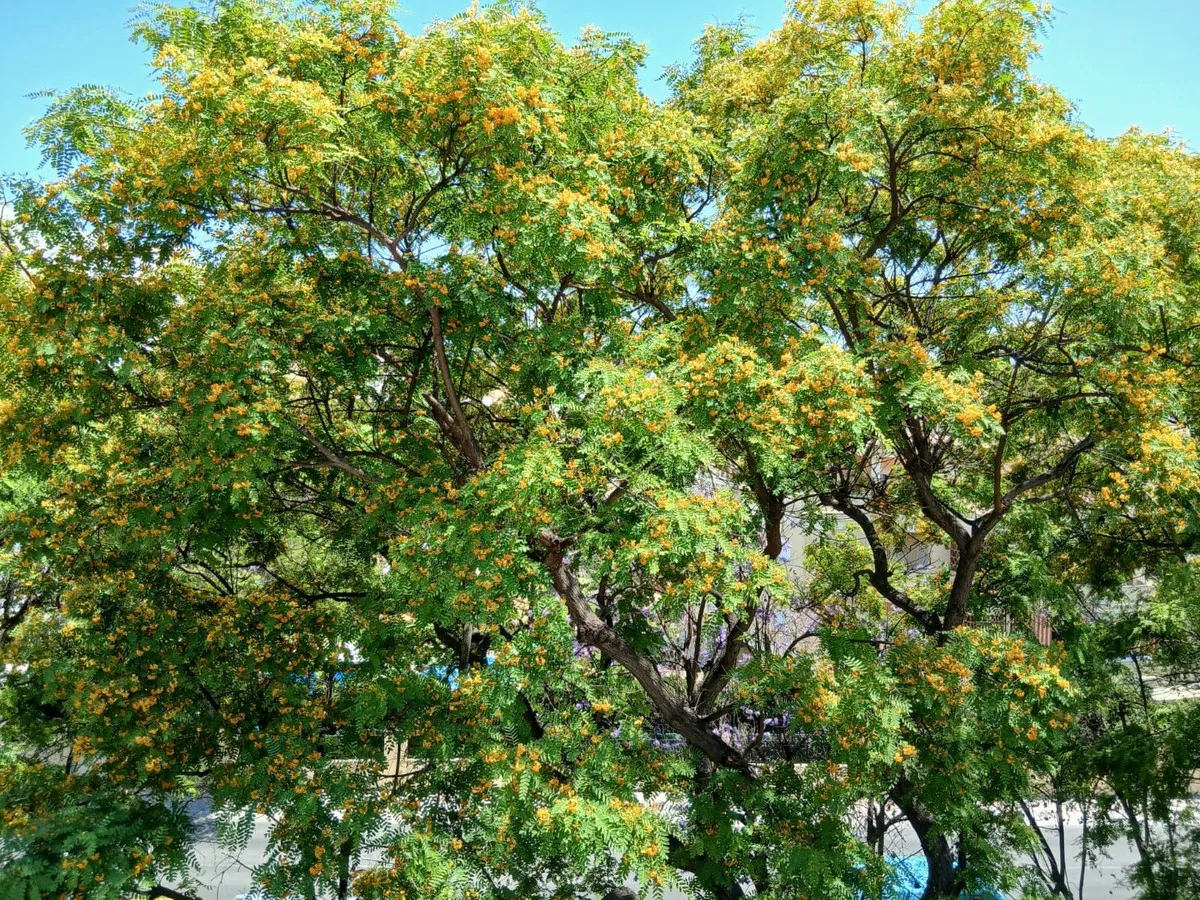 e343618f-3bc8-4911-8d7c-474fbab6a793