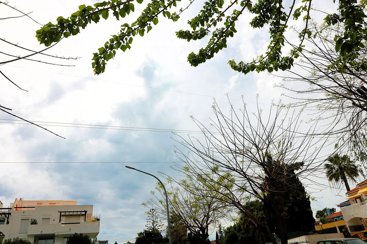 b37f99d2-26a4-48d5-bba8-fd57713e9007