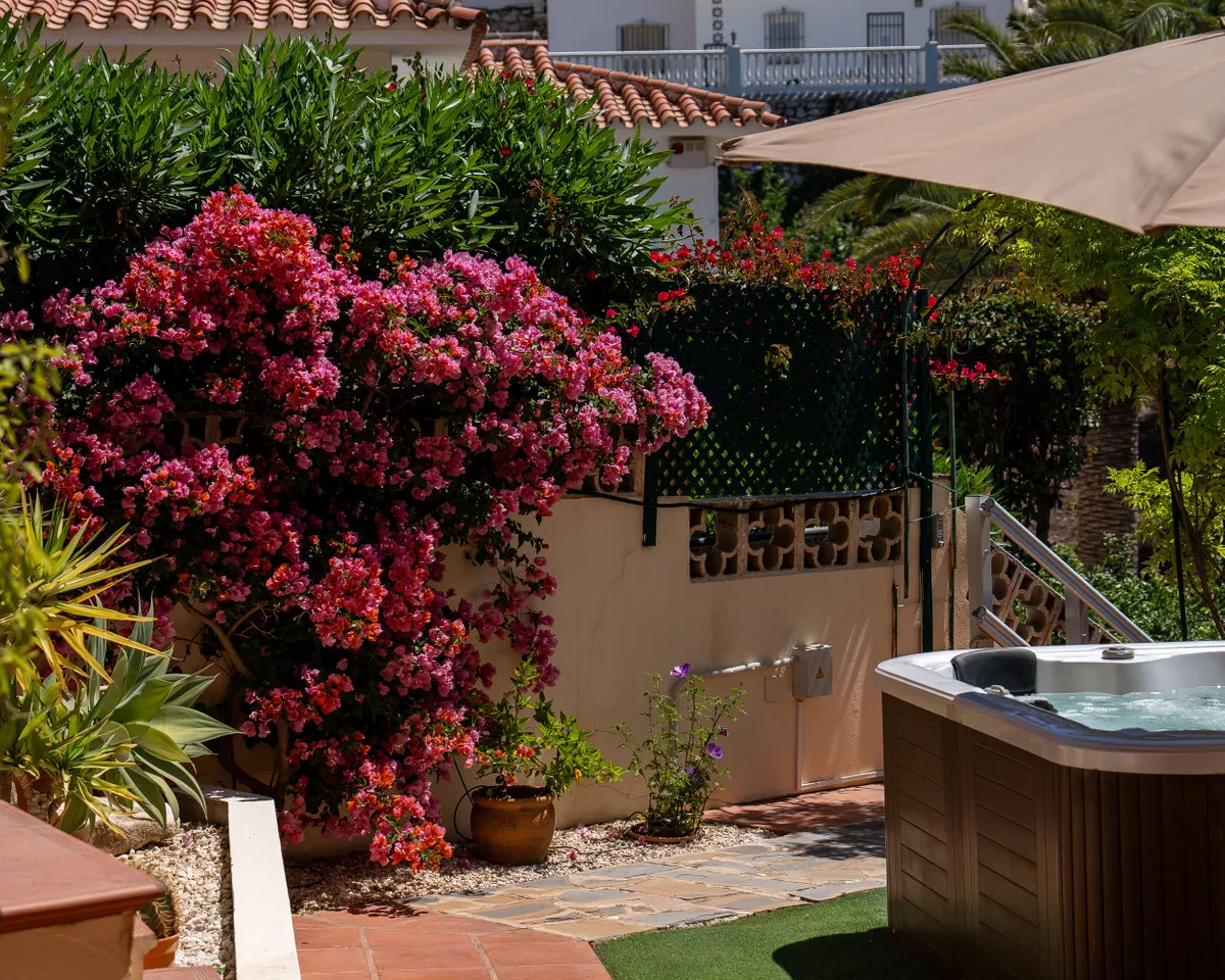 7343a281-25ac-4819-972f-e286fd344201