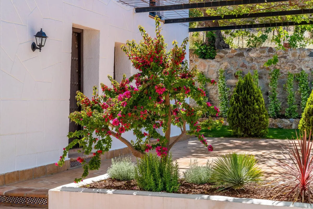 55eef349-6585-436c-b6e2-68be6583730c