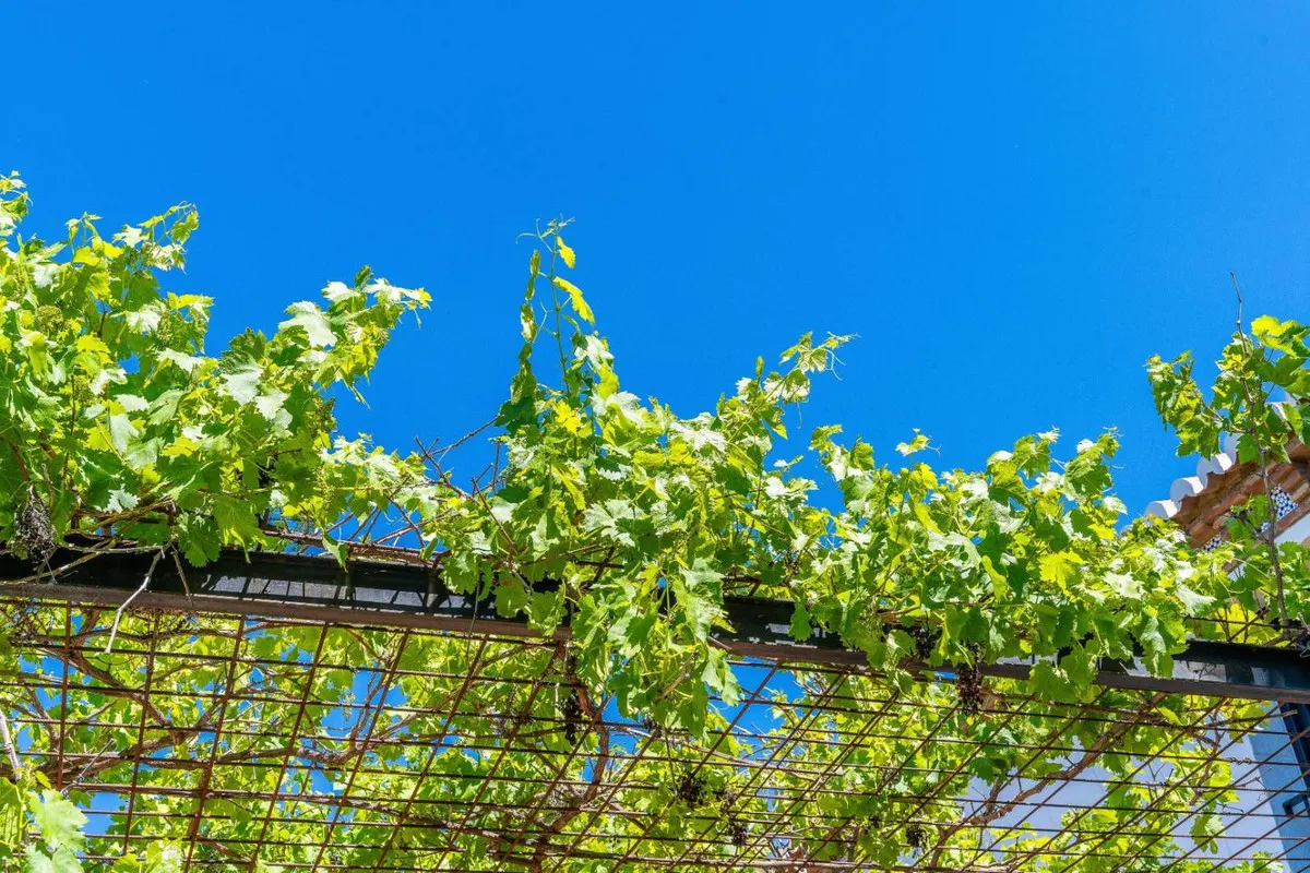 fe594f88-e6fc-4796-8c7f-07ffef1f860f