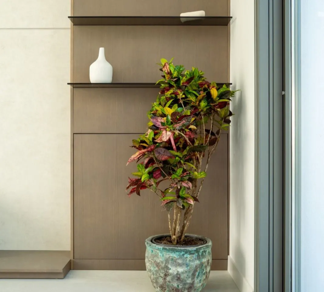 7b544e71-d3f2-4398-aded-1443b535007f