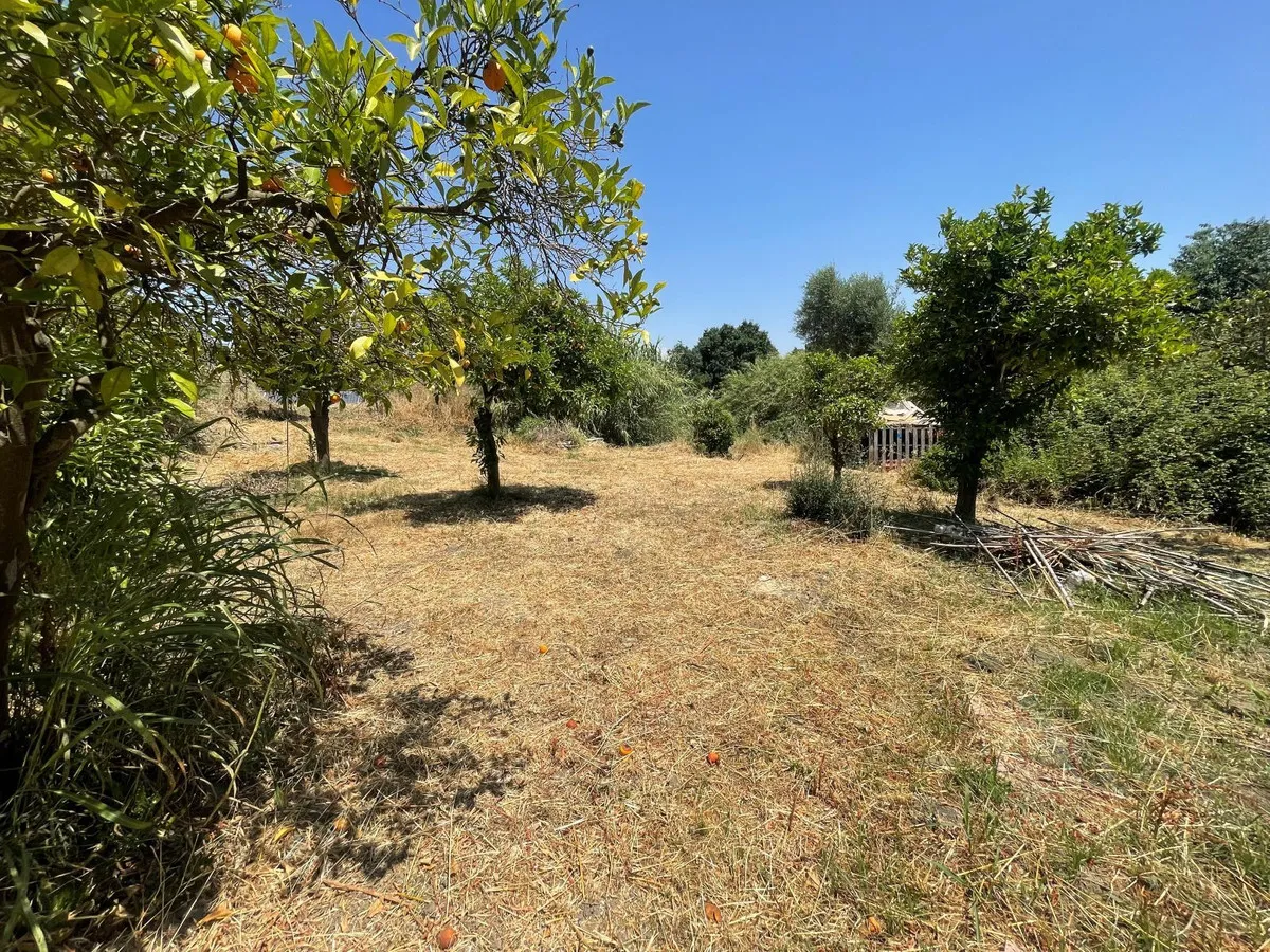 ec1e7dbc-c1d0-4ea7-a1c1-5ff1e8108263