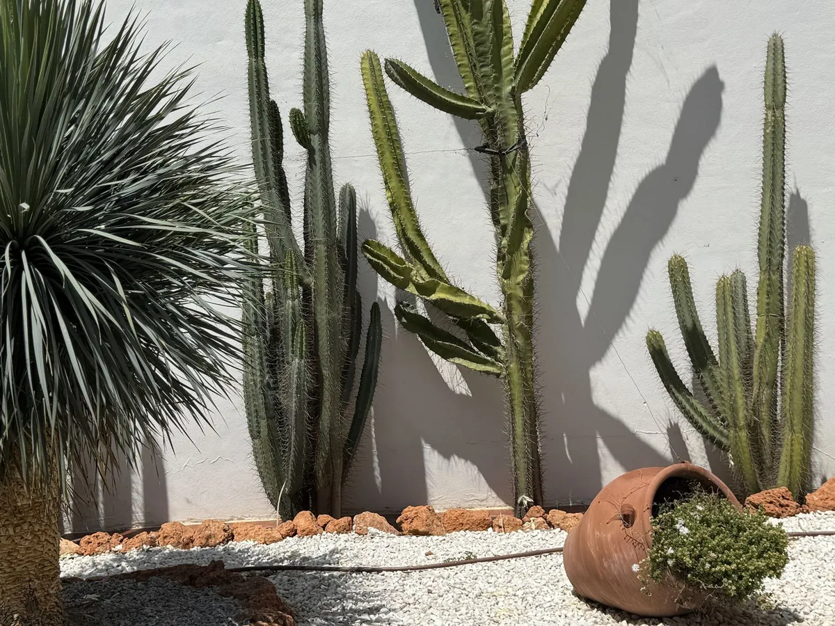 81f08a6a-b345-4a72-b45a-5f2c1ac196fe