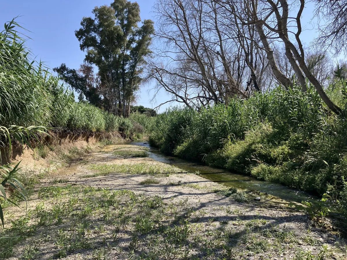 d5d77209-0263-4a68-ad0b-d165065c83b9