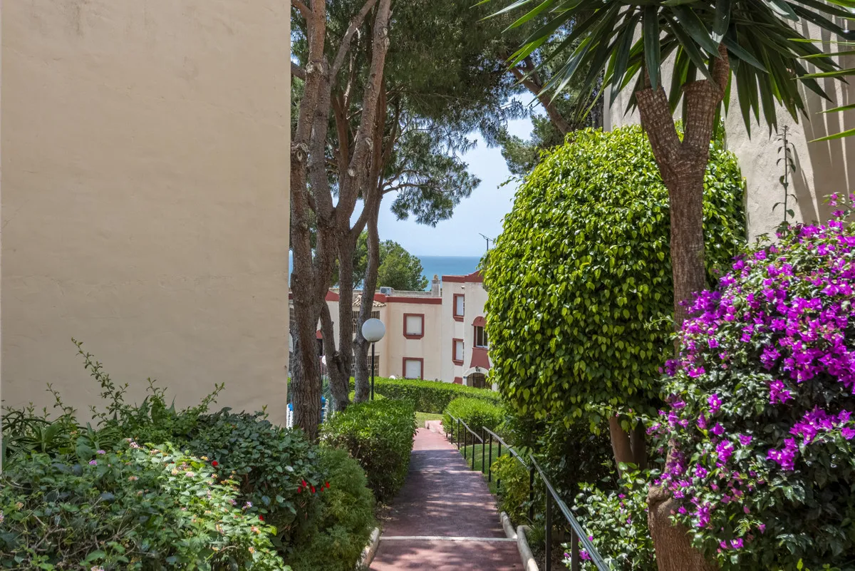 5b81b37f-8d0b-466b-a292-7a9d5d1041b3