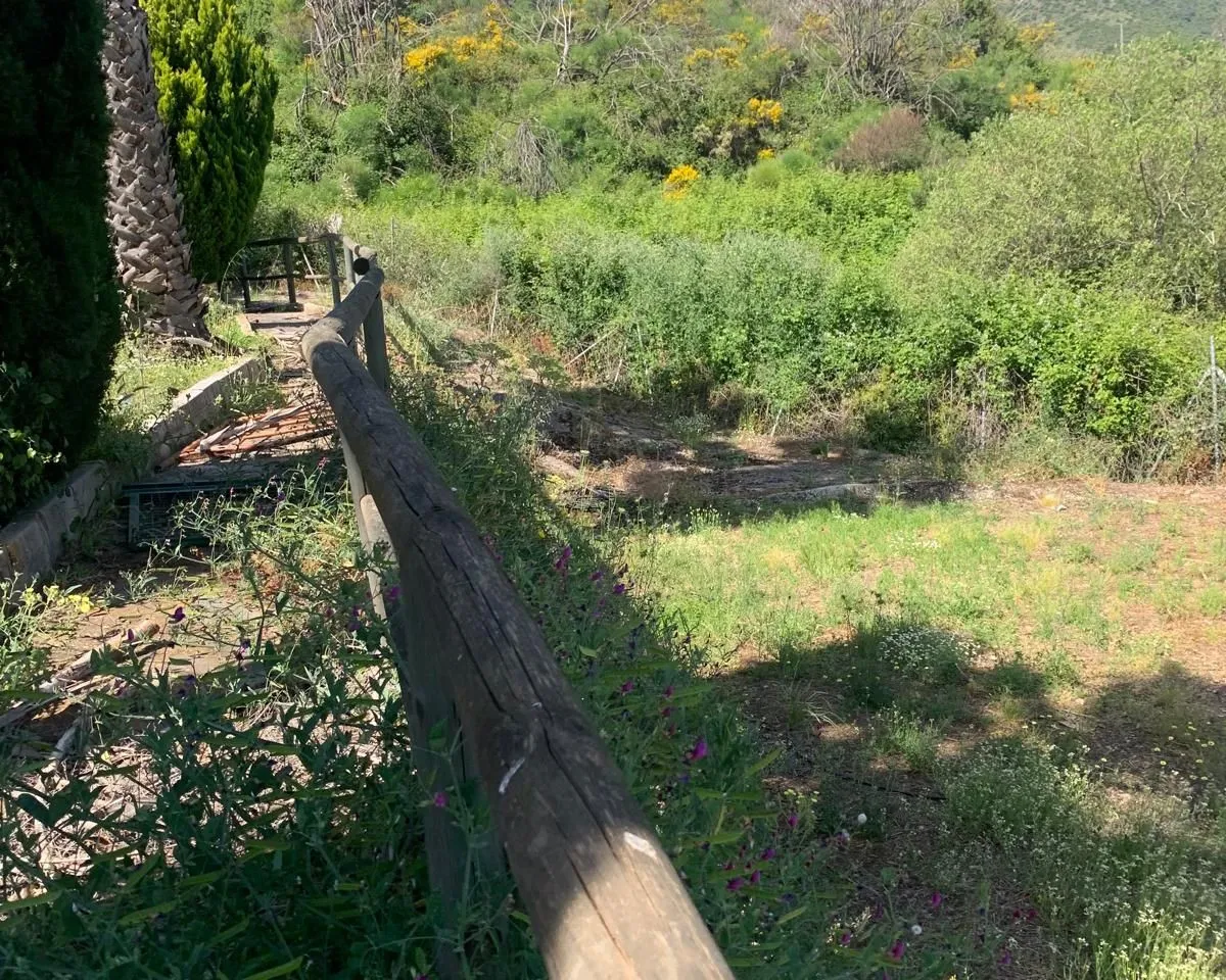 66e3b4f8-b282-4b17-b340-dfbad7b6ce40