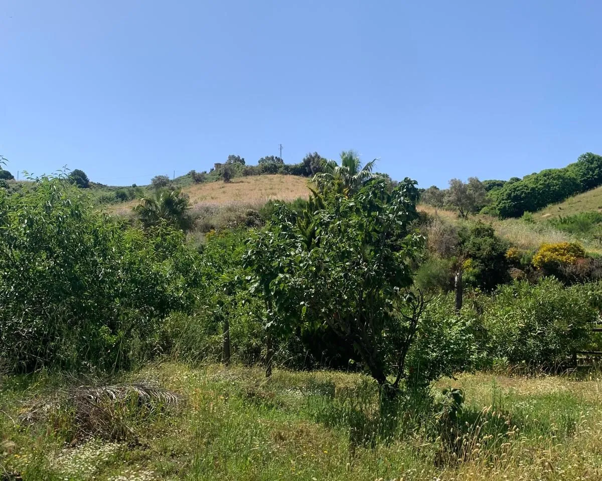 749a600f-b26a-44b7-8452-6f7759c386f3