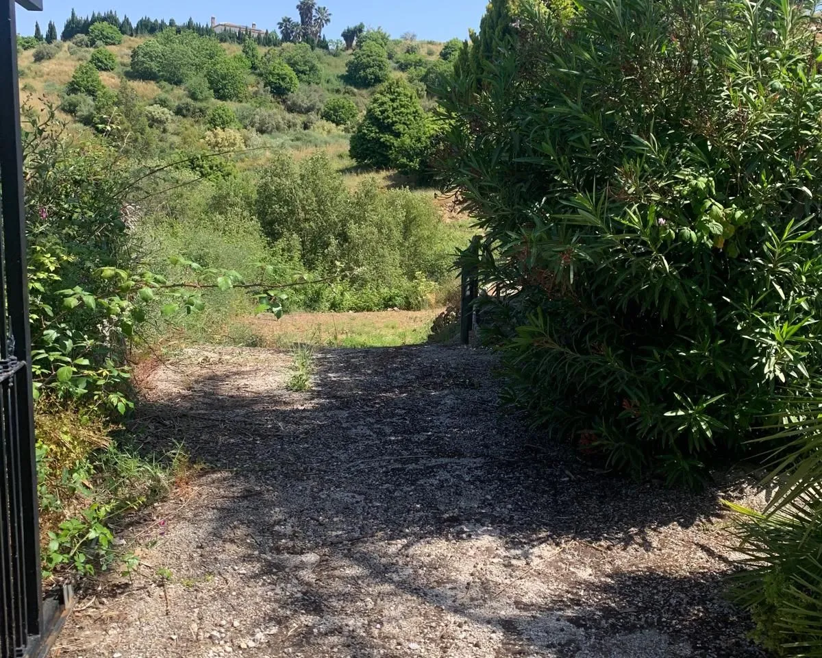 84278226-a4b5-412d-b602-3597b5ff0252