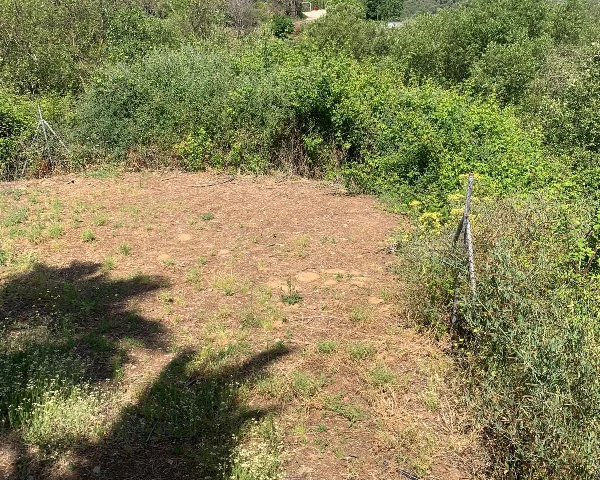 90f5b5d5-aee2-4745-aa6c-f084f276f4a9