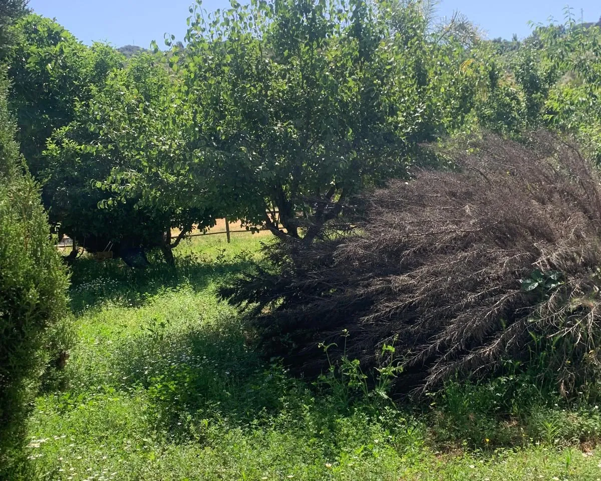 96c3fd71-a315-4103-acee-5ff1dc5114af