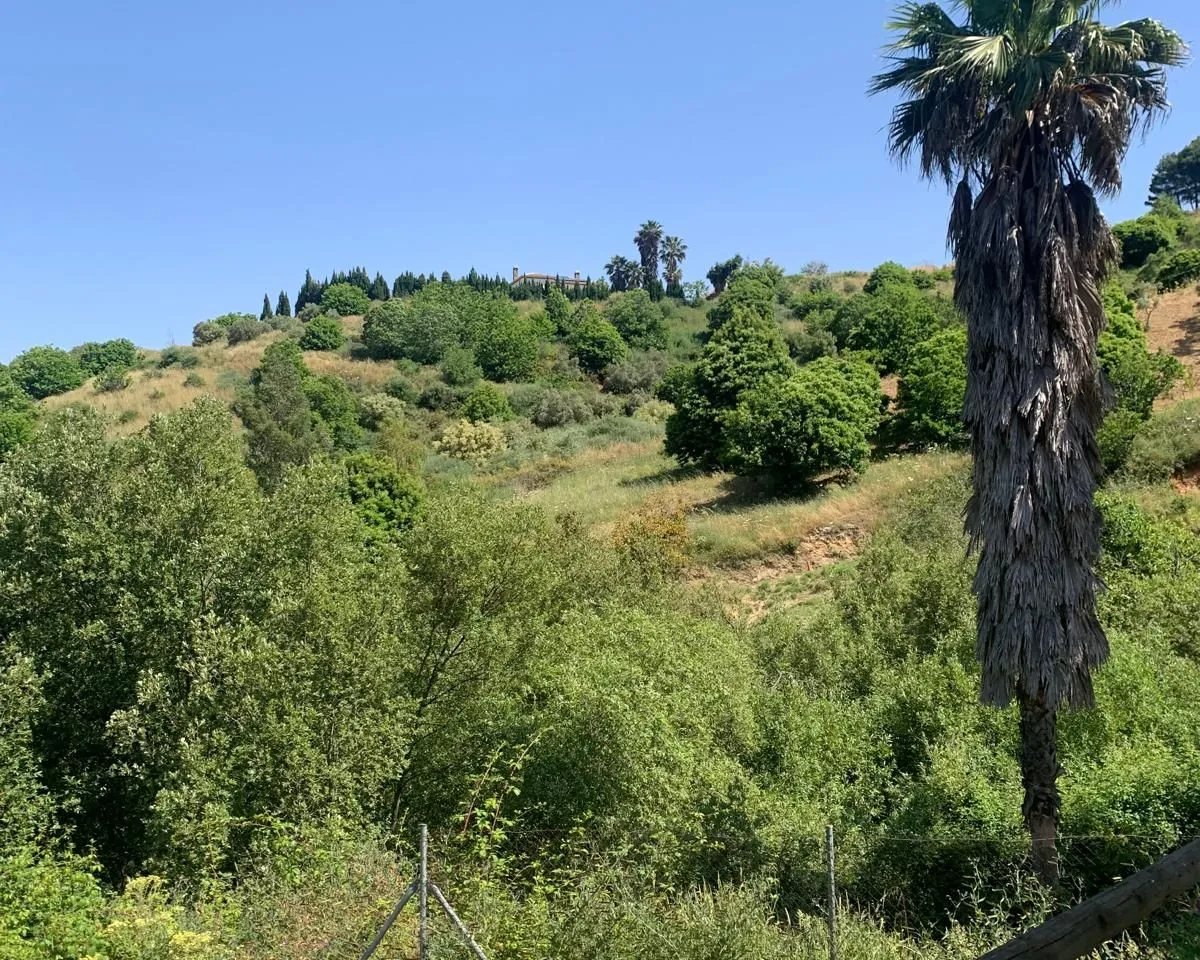 ca72d0d6-cb75-4282-ba9f-d1fe2bc2c42d