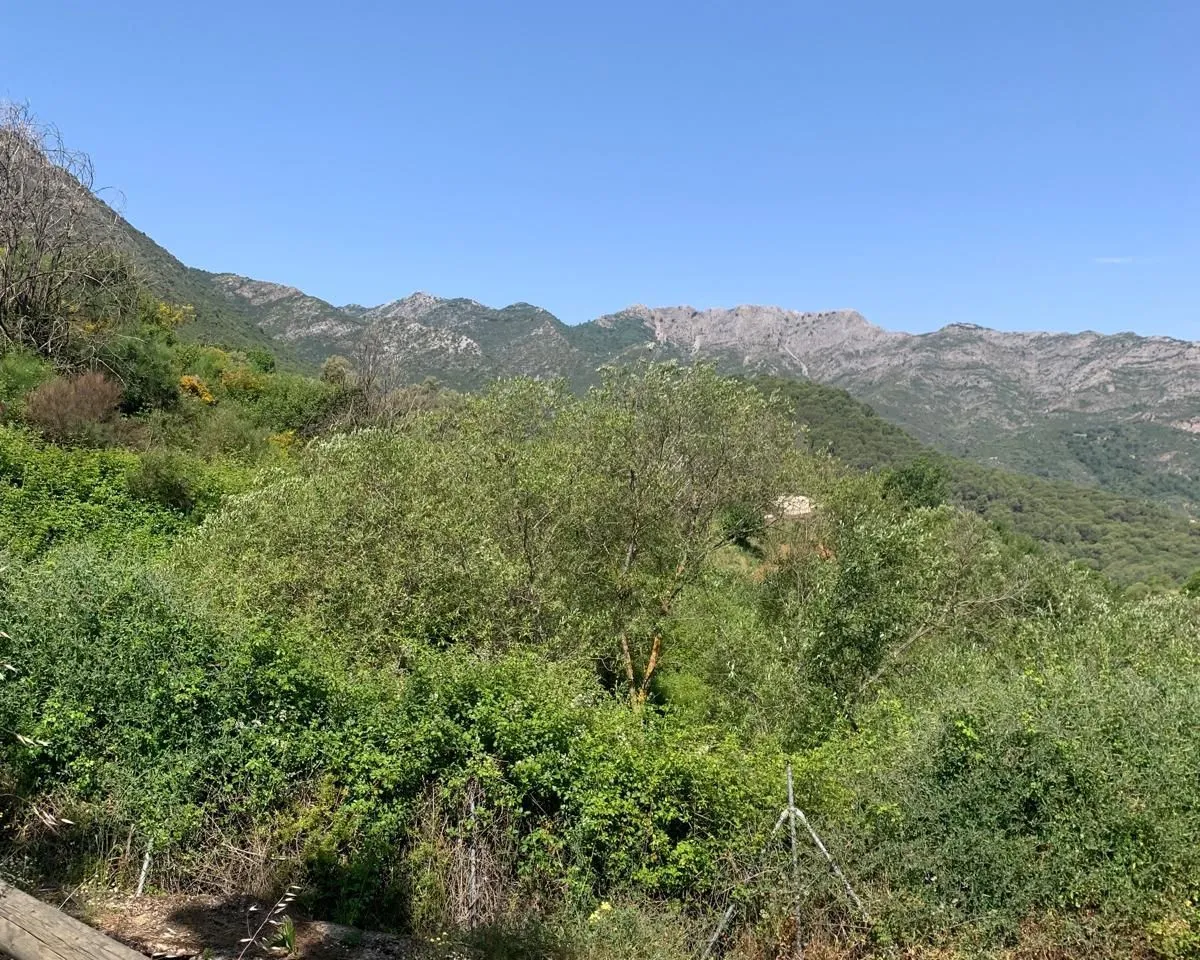 db67b0bb-ca17-4e15-bf3f-ca0f22f318cb