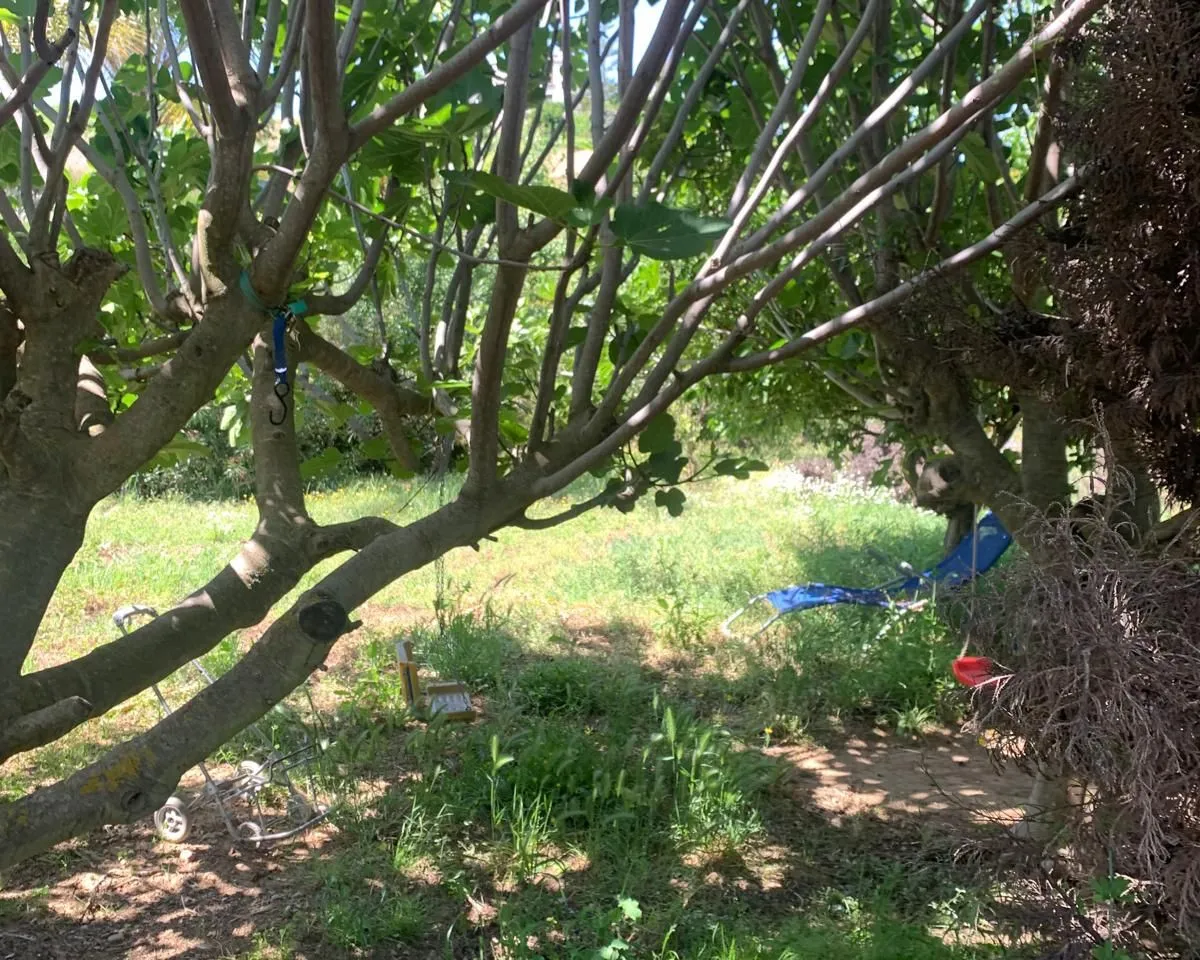 dbdeb1fc-5581-4ee4-9b32-c512667e5b29