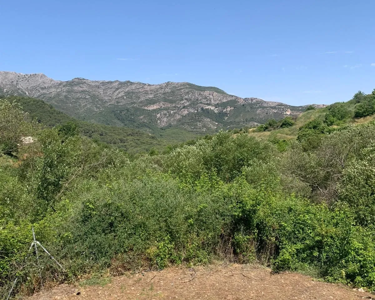 ea952042-167c-47e3-b931-8d34af9527f7