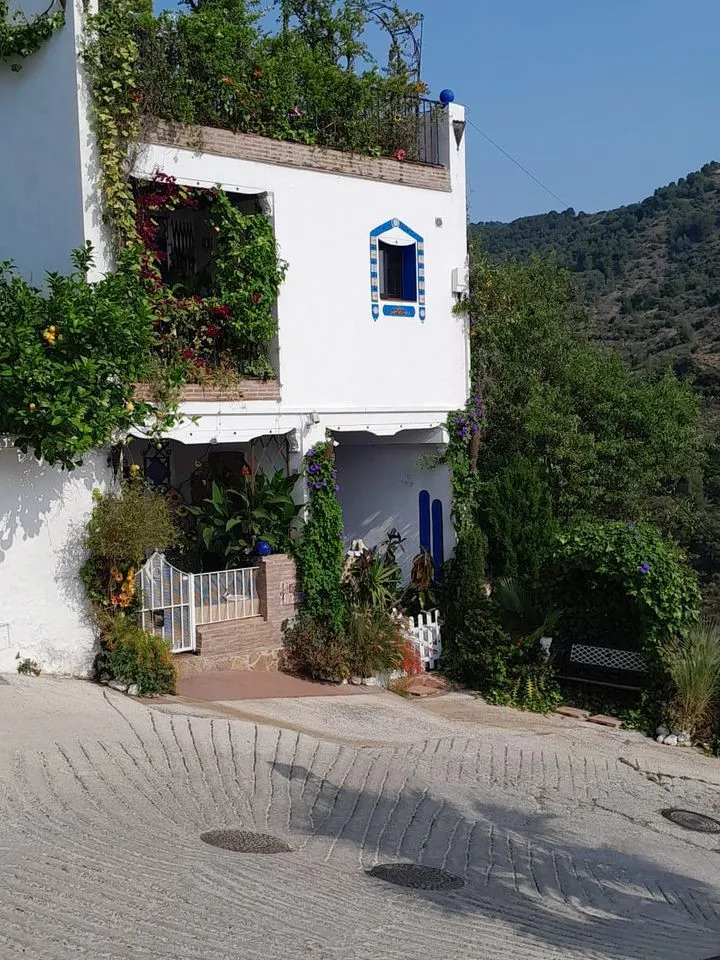 1984d83f-2e46-446e-b650-bcbc67a8e401