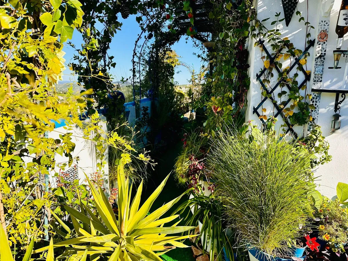 38c18e26-a6e6-4855-bbc5-cf1f94b57e47