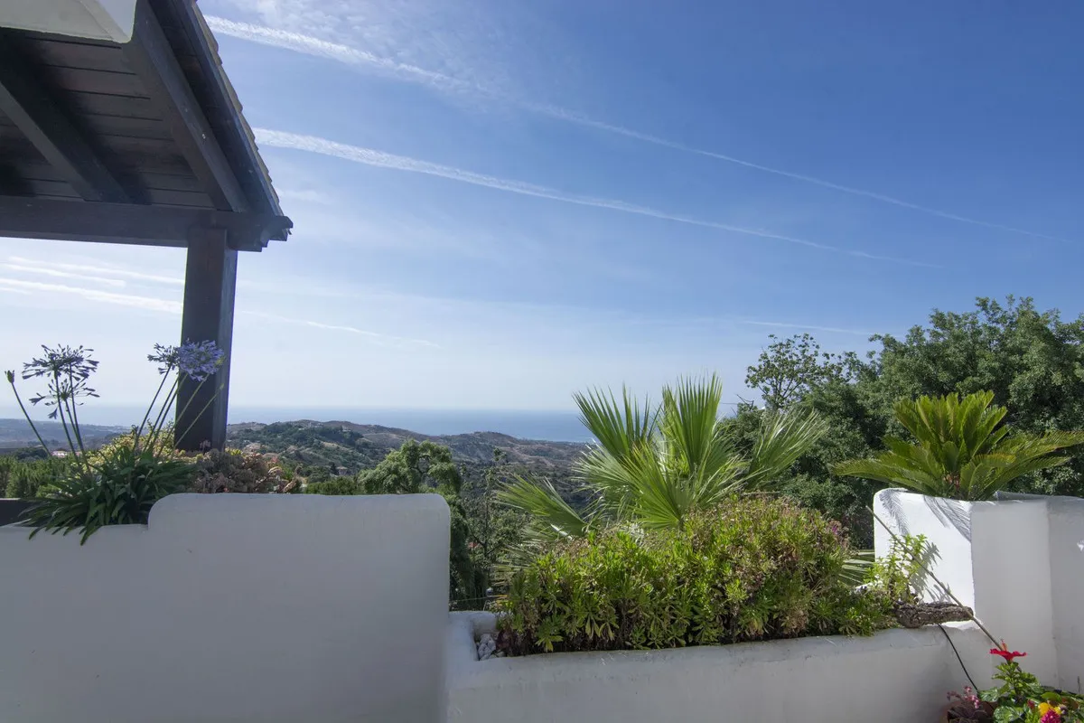 c316323b-5b30-4dfc-95e4-79898ef1fabc