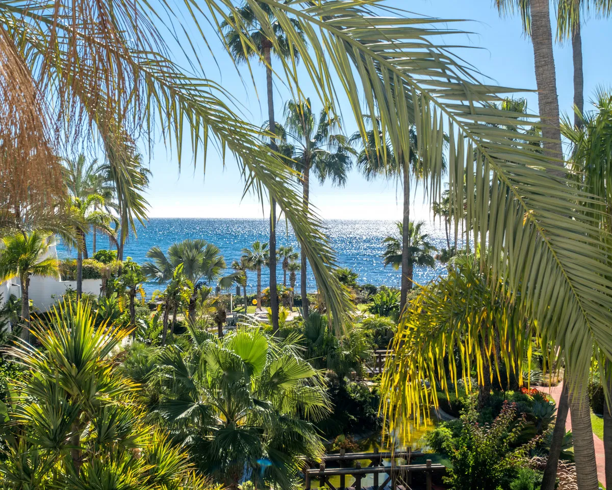 08e56a20-6598-434e-9cee-98b60893dd0b