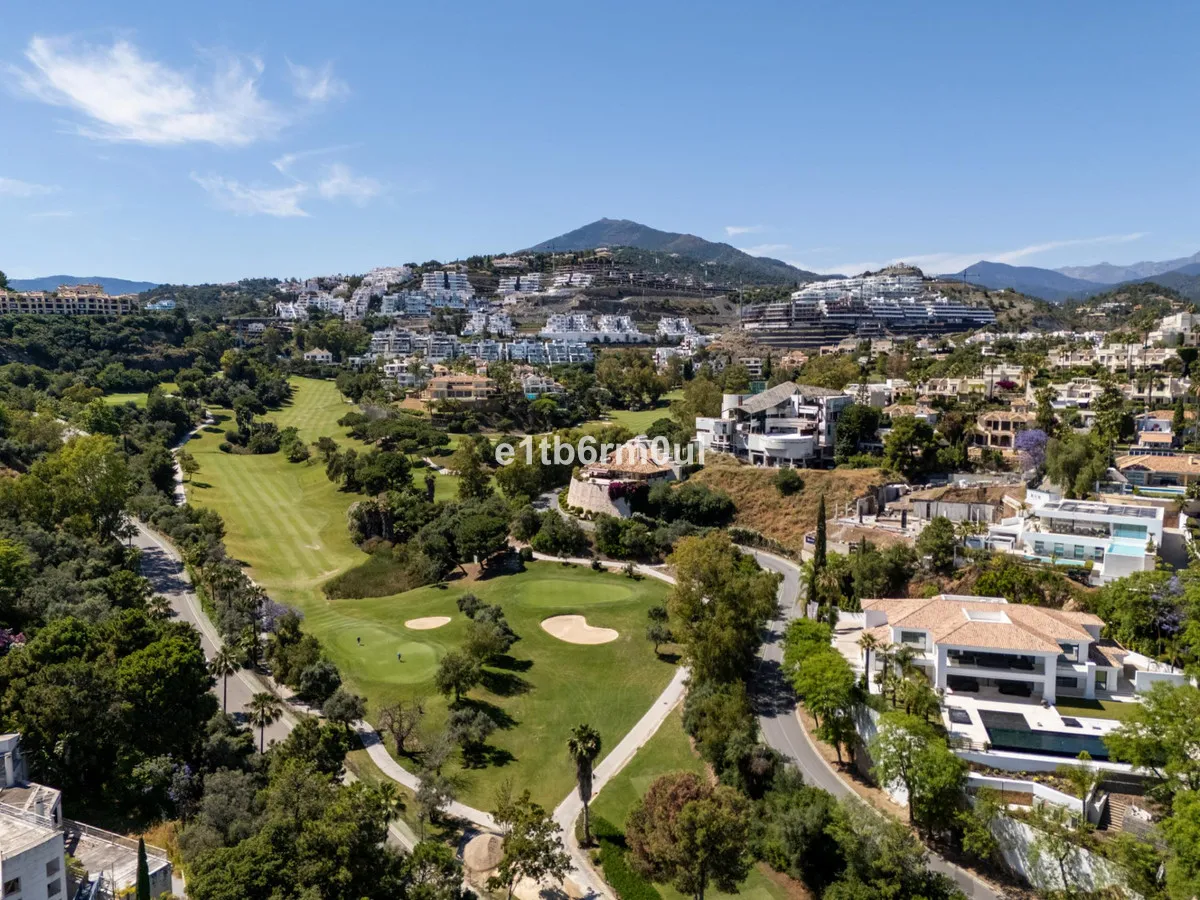 79b5e54b-fb42-4f07-8f6e-79a025f219b8