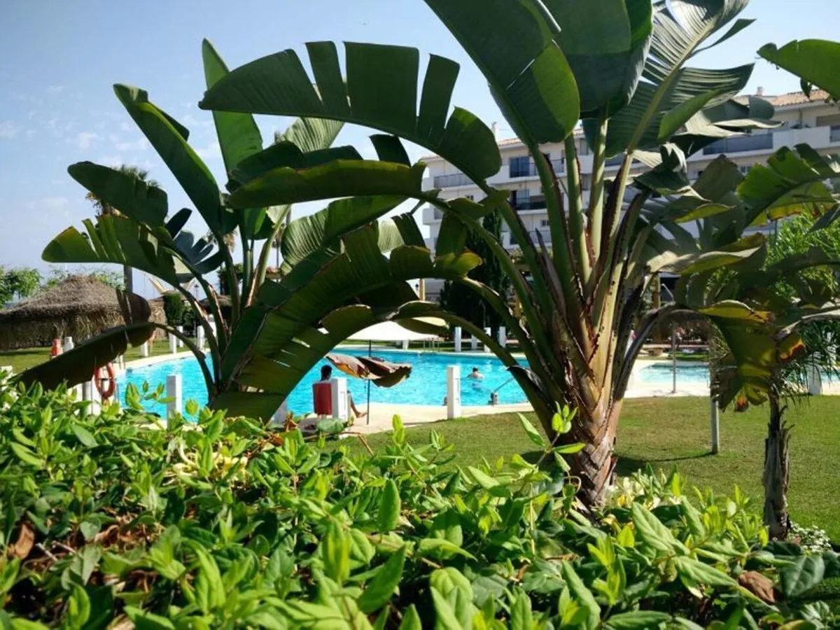 120434ad-56c9-462b-8eec-6fee0d7c54ee