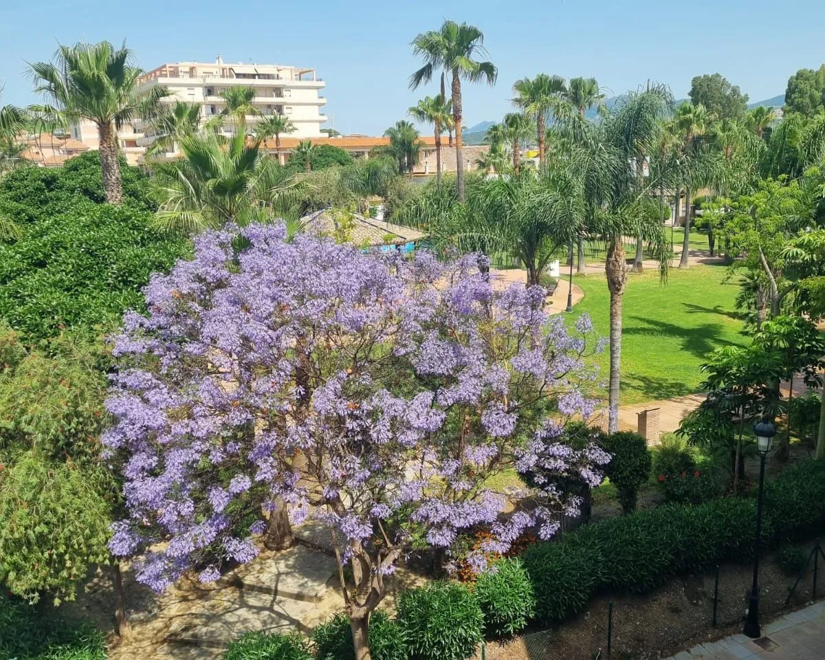 12b0de28-c93c-4bd2-893c-f75fd716aed6