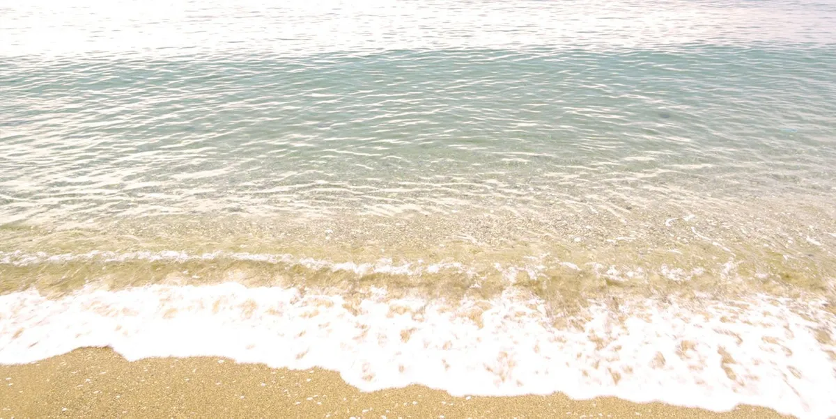 5b8bac30-a55b-4139-a595-34d63d23bd25