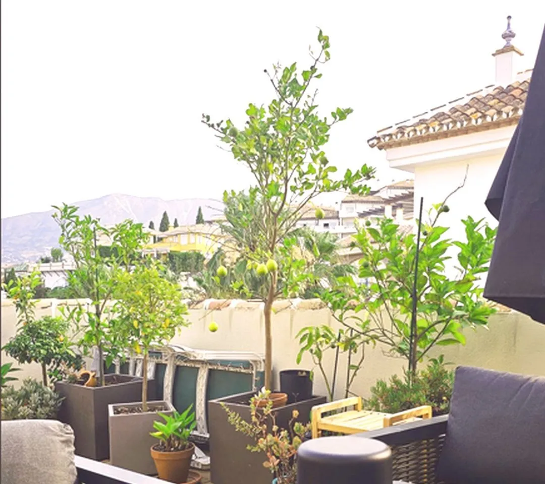 a2bddac4-6781-4e19-8125-02504cf0bc4c