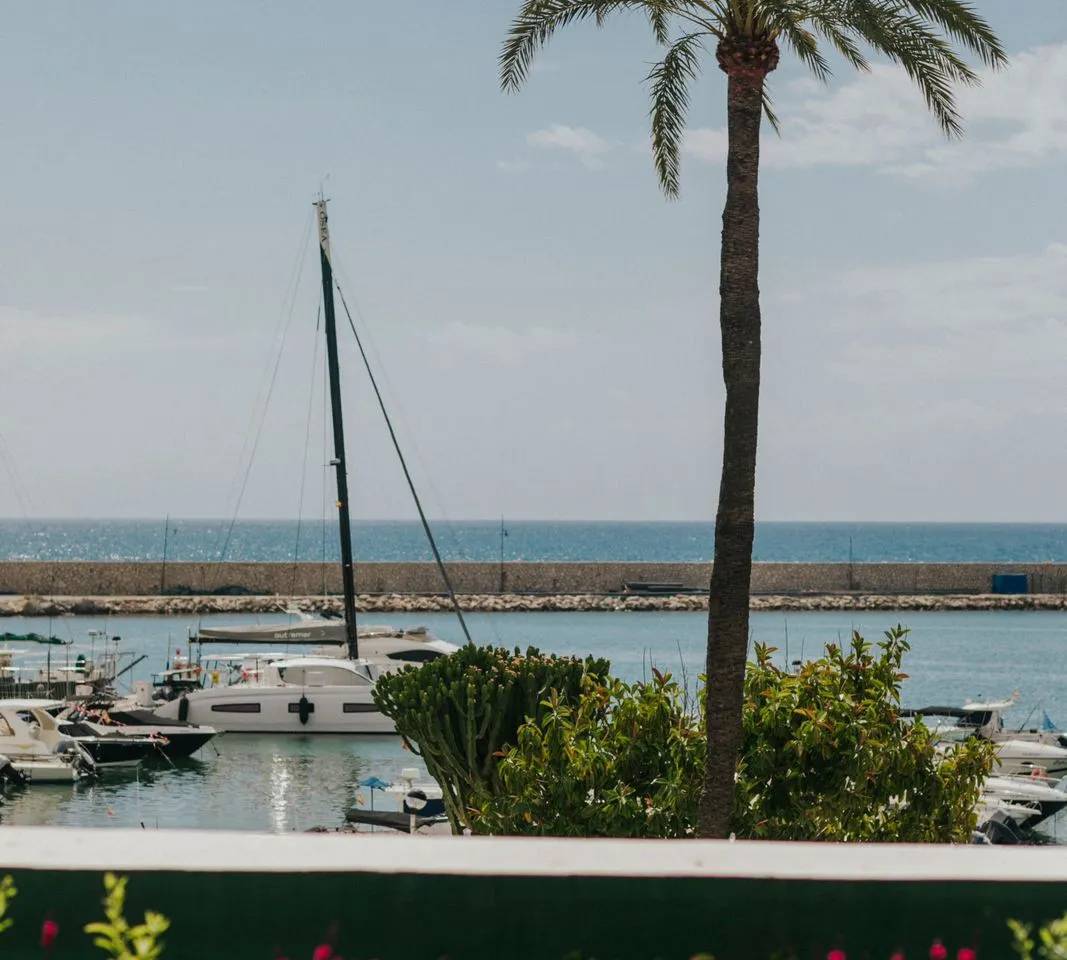 c6599fe7-b744-4a1d-b5fc-7aa9eaead7f8