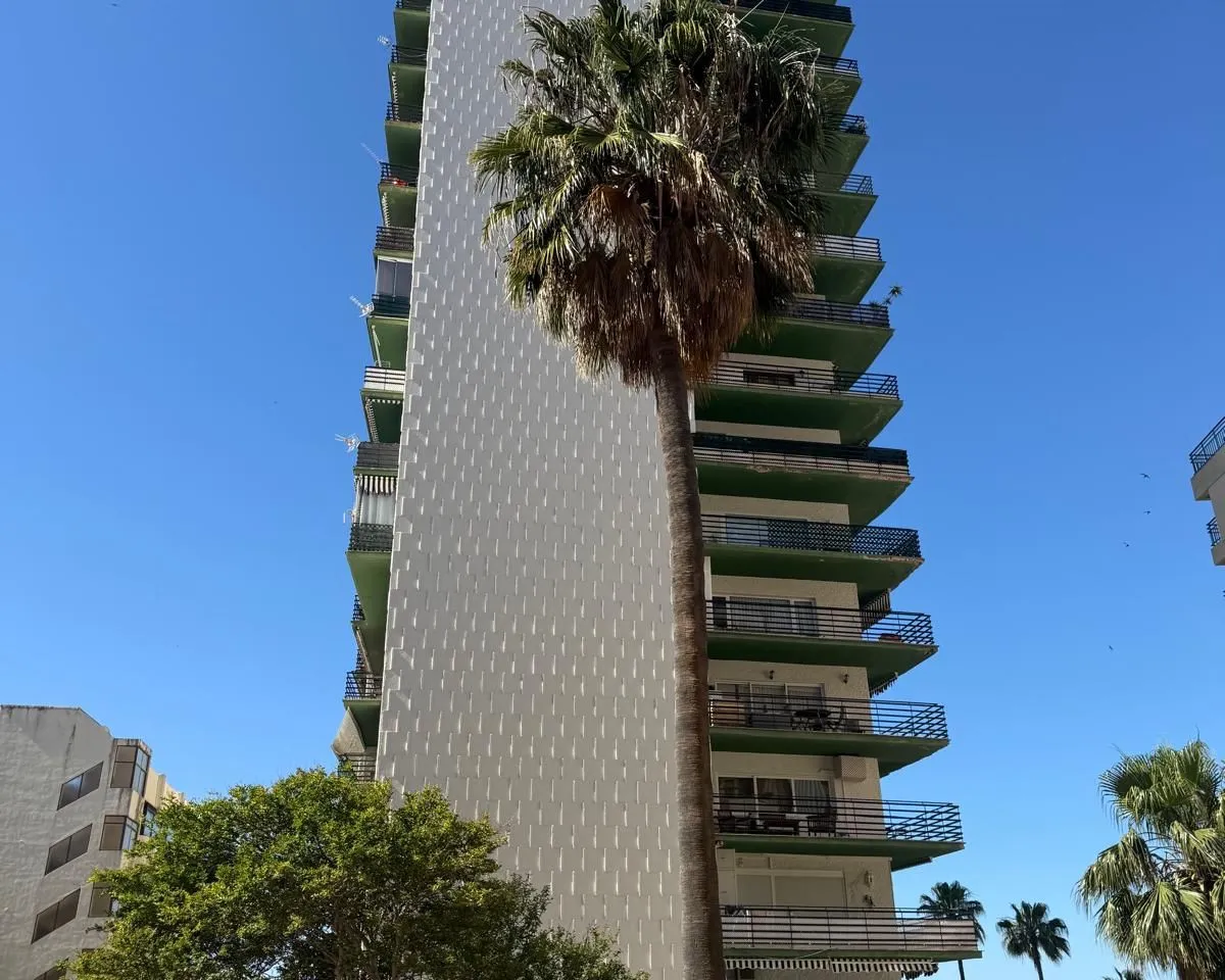 8ec38ee0-a248-4e15-a5a7-fc278a0ecec3