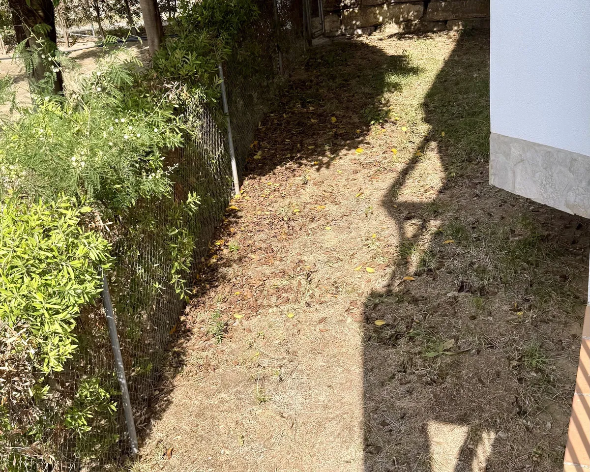 086efe08-59b1-4ef1-9953-43cac90db0cd