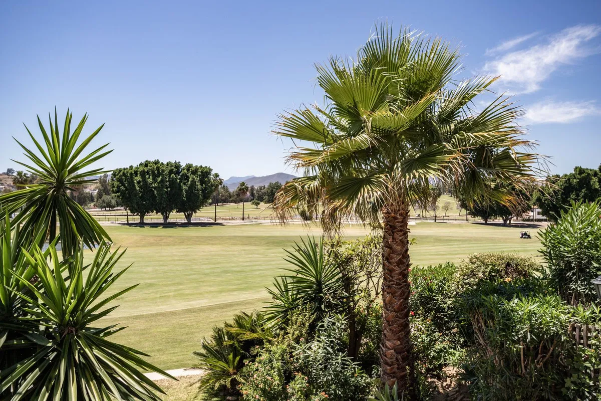 ad399115-23df-4dca-9e4f-95cb7436c876