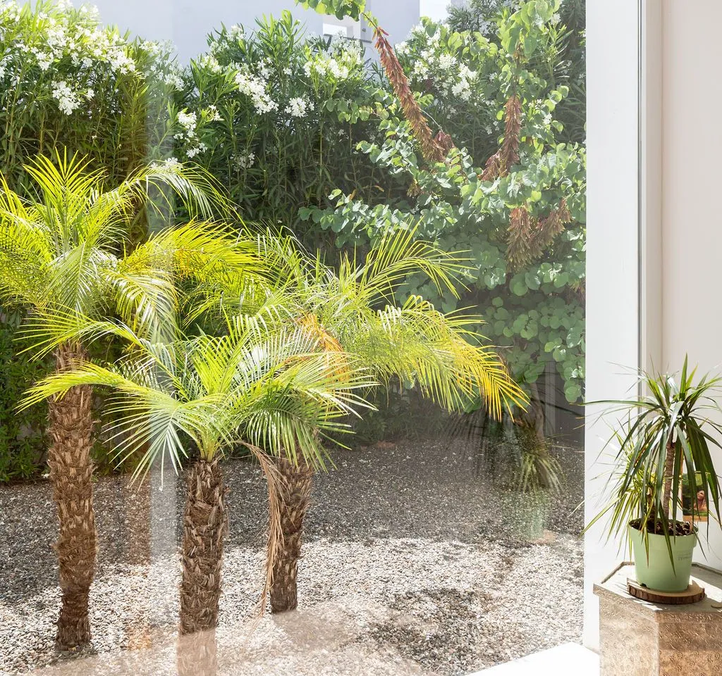 d13756e4-8488-45bb-993e-e198f15f8e0e