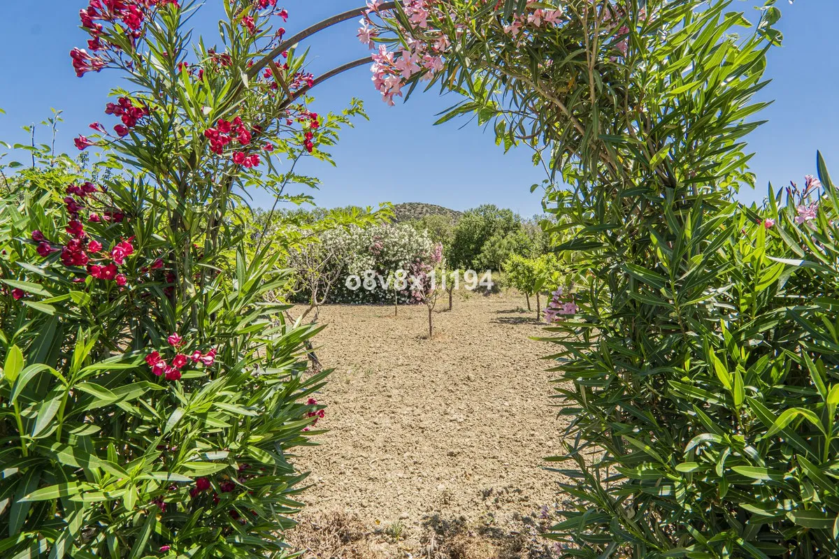 0816c8ab-d60b-419c-80db-65f0b85aa8bf