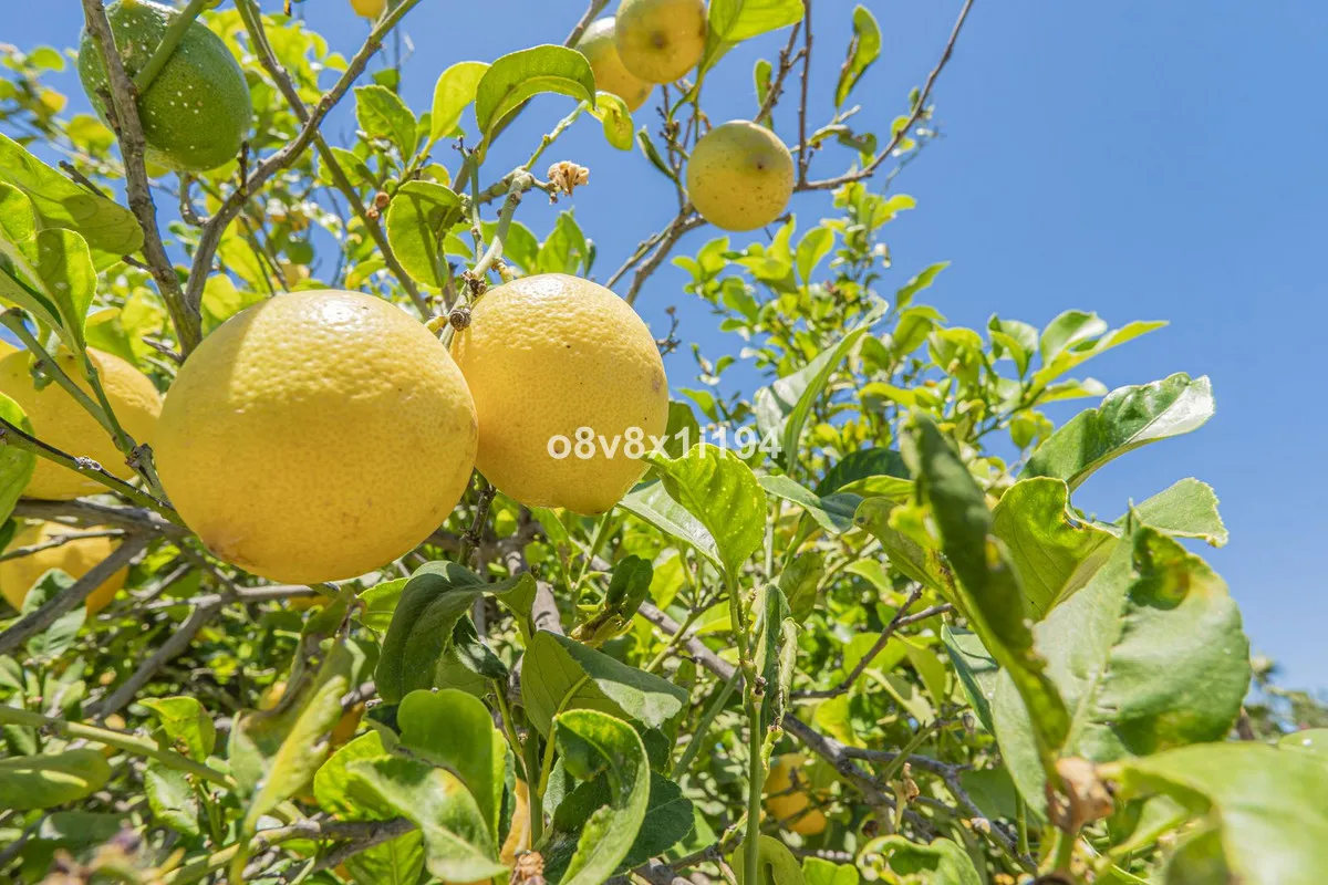 648029c1-5289-4e66-9c91-ddc06d7994b9