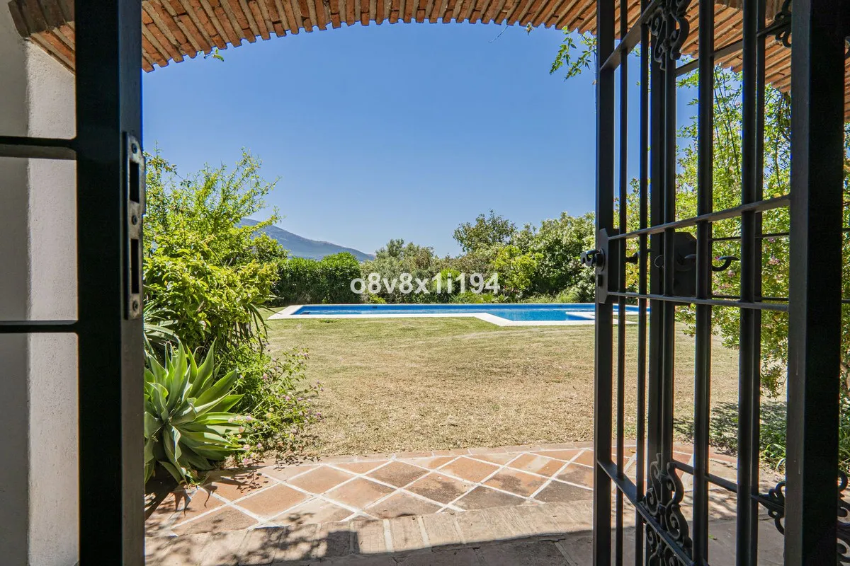 78ca483a-328a-493d-99a6-a130af493684