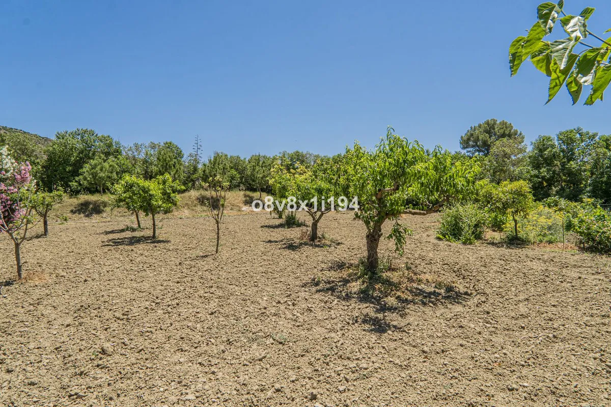 c6d4d966-c3ca-4860-9c30-5a5a03cad6e9