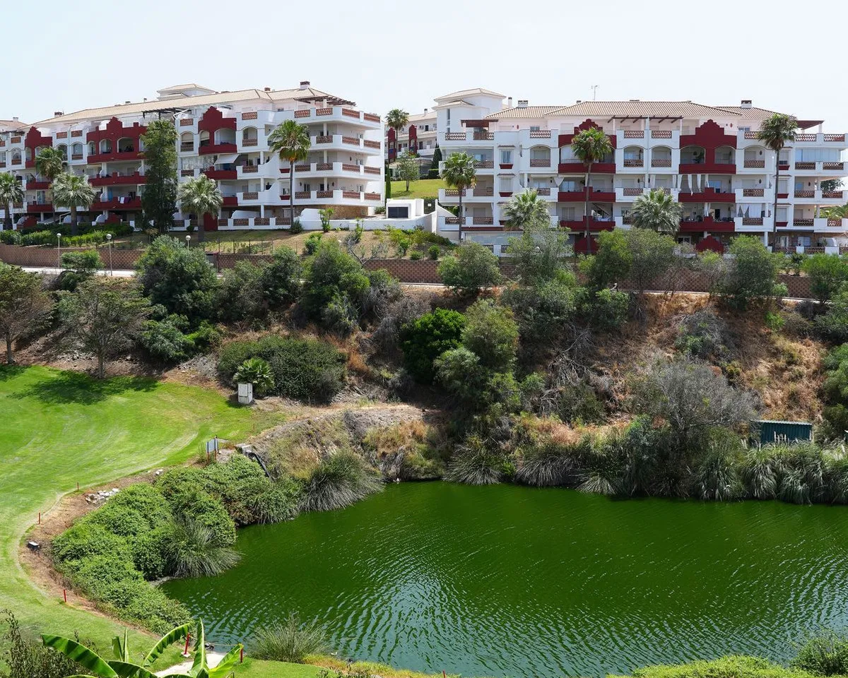 15564992-34c7-48f9-98c7-5dbd8080af5f