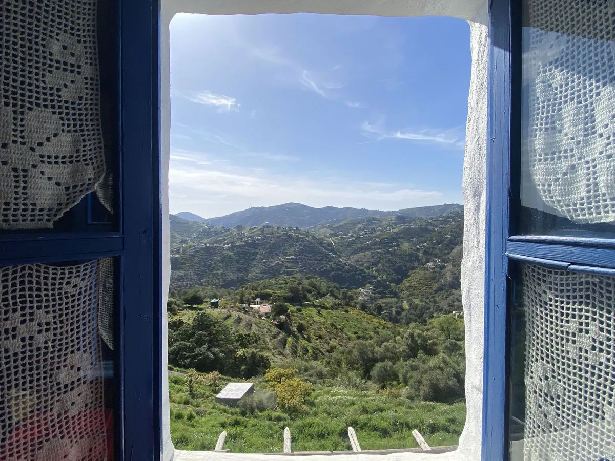 c654f488-fa50-4578-8232-7658b2977013