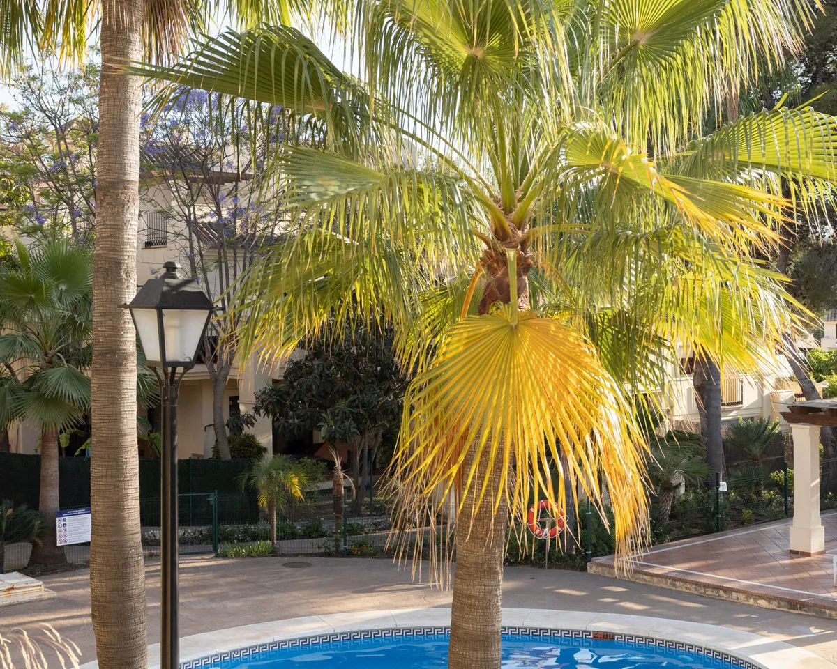 1a181d00-f32c-48ab-a058-be9fab802c1d