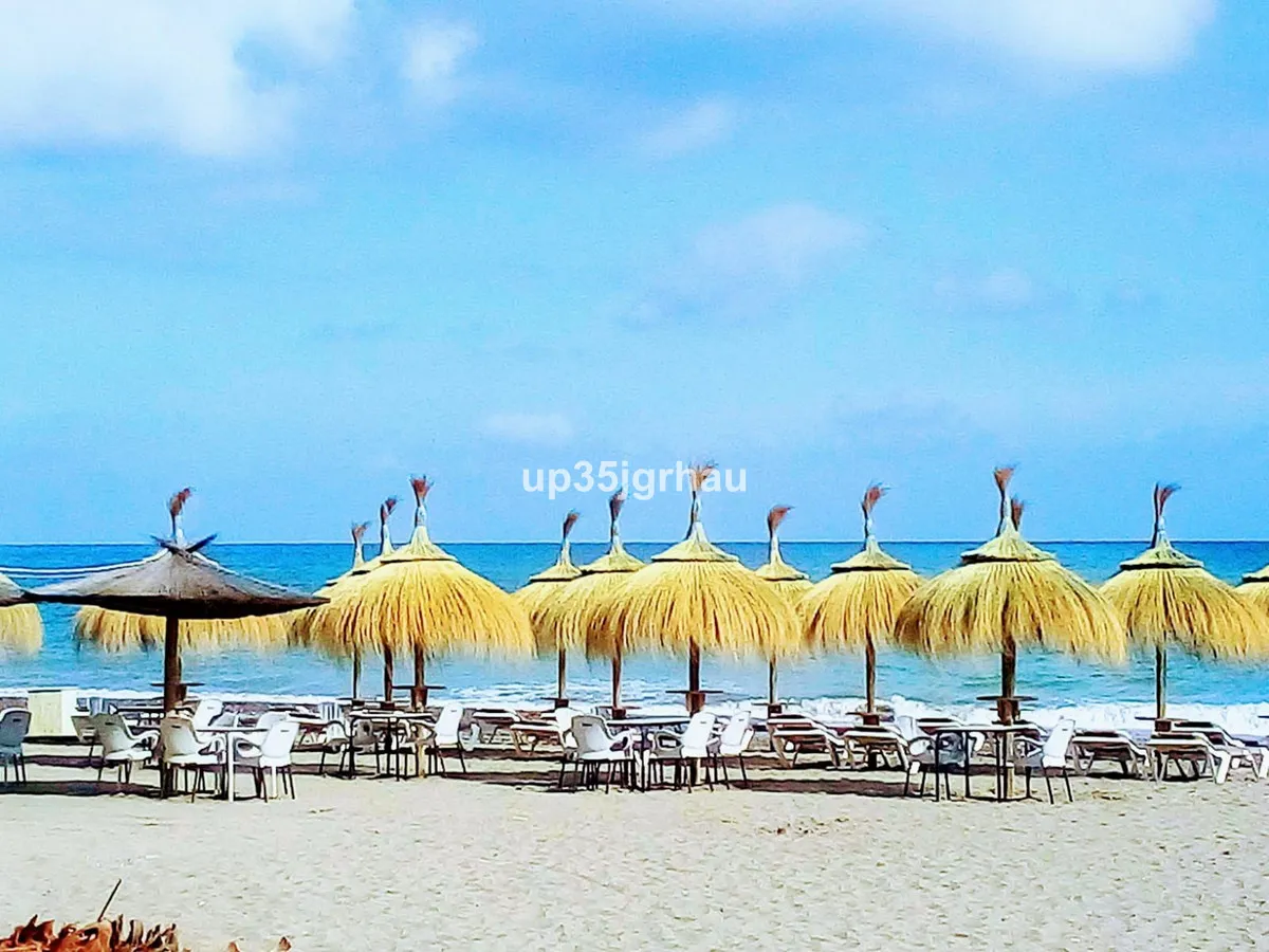 5430b979-0a51-4217-bb32-322826870309