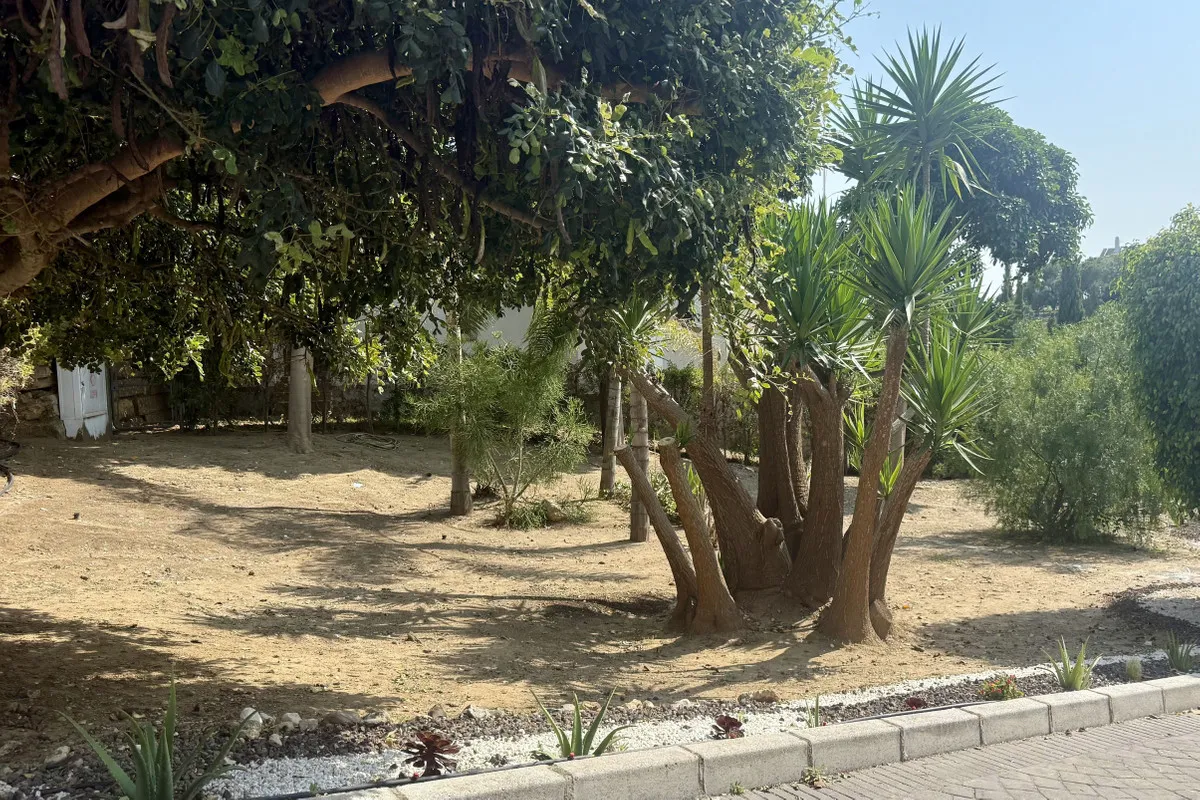 6f80e174-14bc-4586-bab5-364784e588de