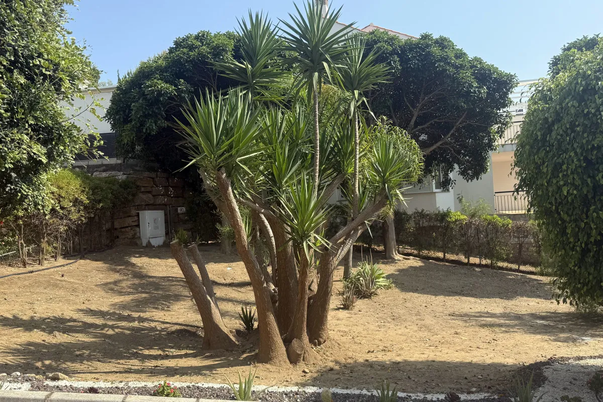 bd96b5c9-4b36-4c12-be3b-ff132e6e63ae