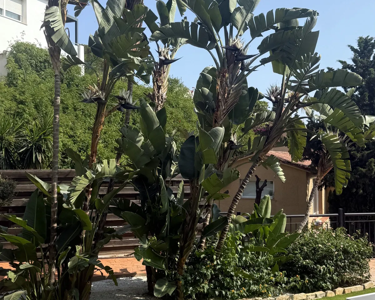 f79db6c2-c727-468e-9032-e3cd989ecf46