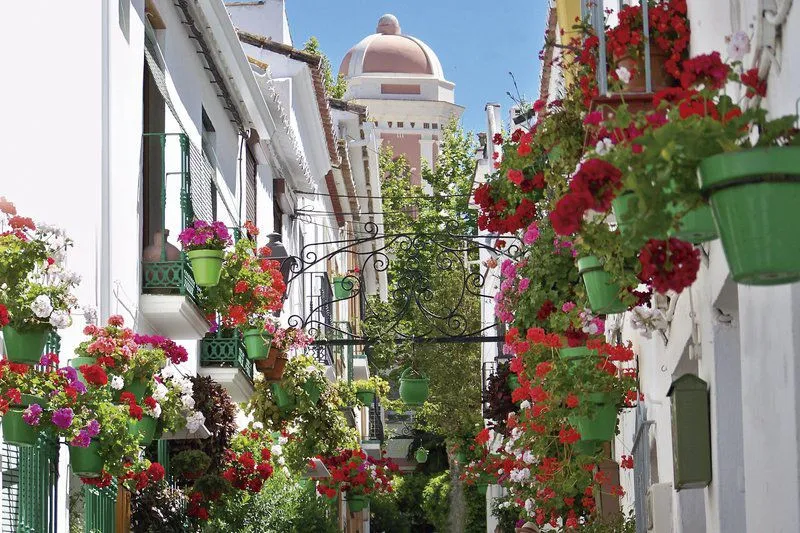 f1c22aac-7a87-4dad-994e-7f00541e4504