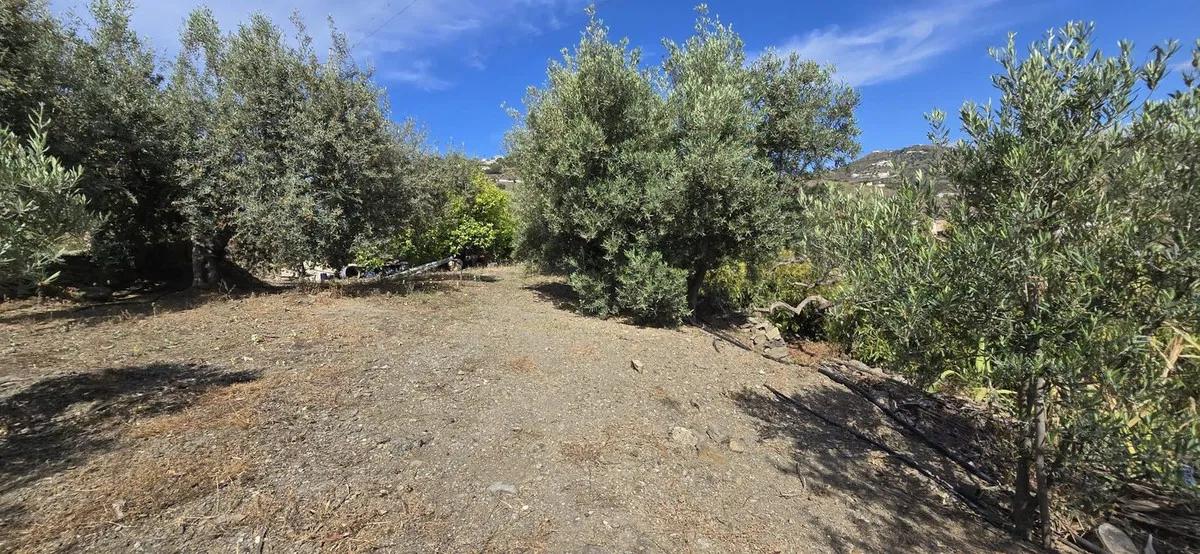 72b50c47-5c16-4a12-b1f2-271a90db3578