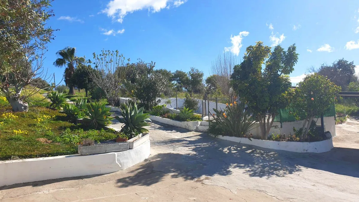 37d662e1-be40-4c25-bc3c-69995a041fef