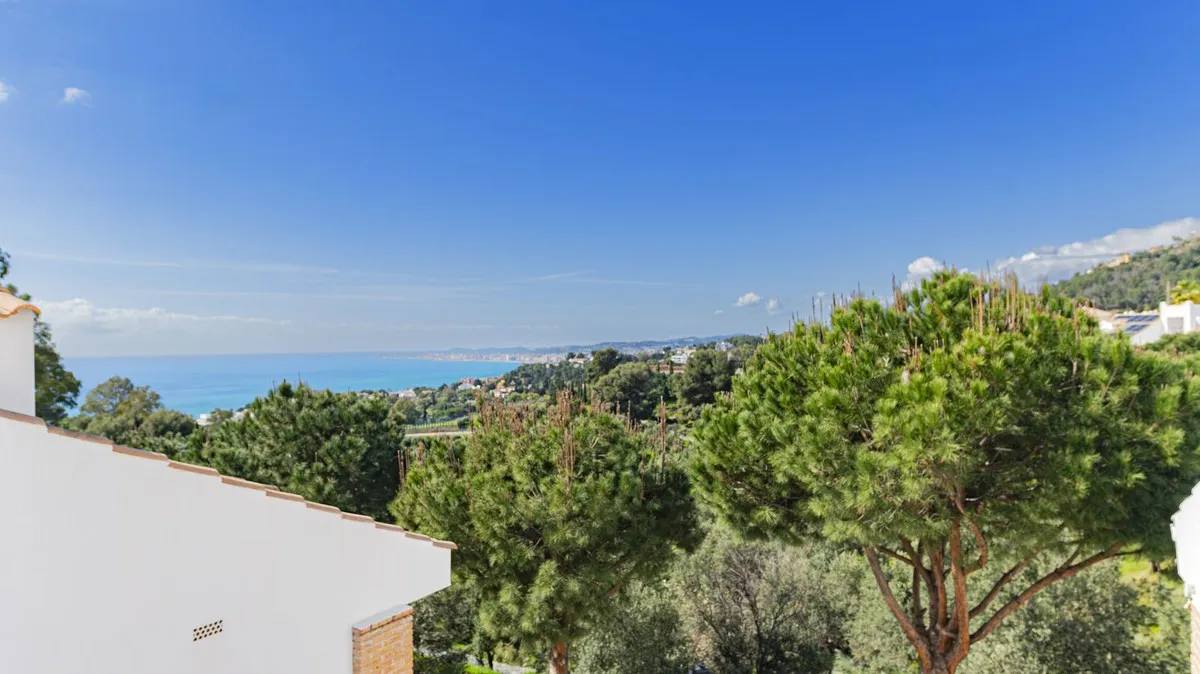 20cbb57e-49a1-4986-9eb4-01b345da20d0