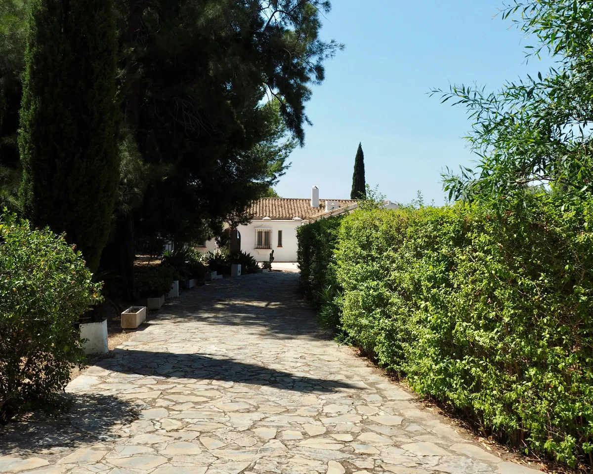 1cc8f1a8-432c-49df-8a5a-3ee75d8d2970